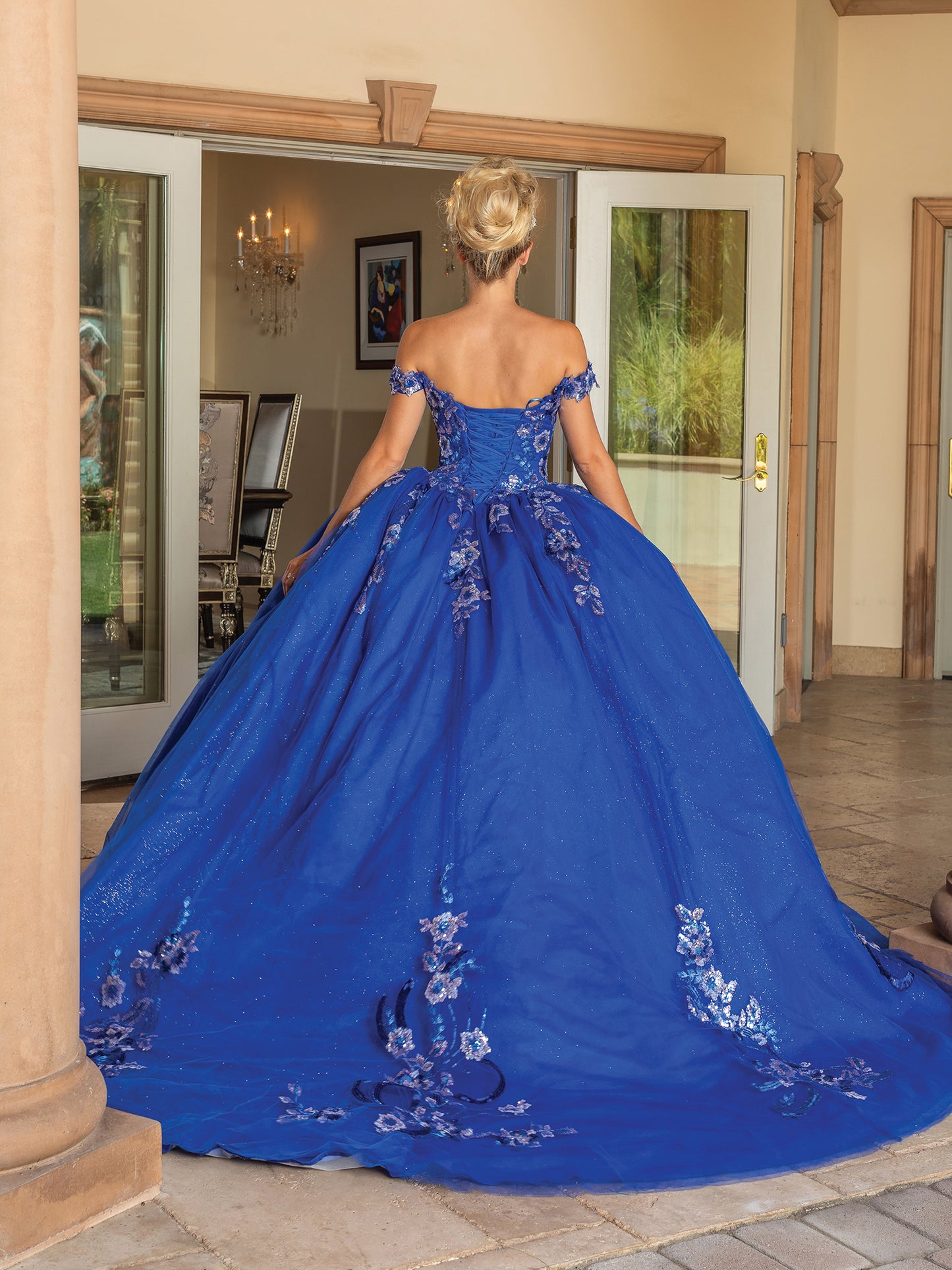 Dancing Queen Quinceanera/sweet 16 Dresses 1737