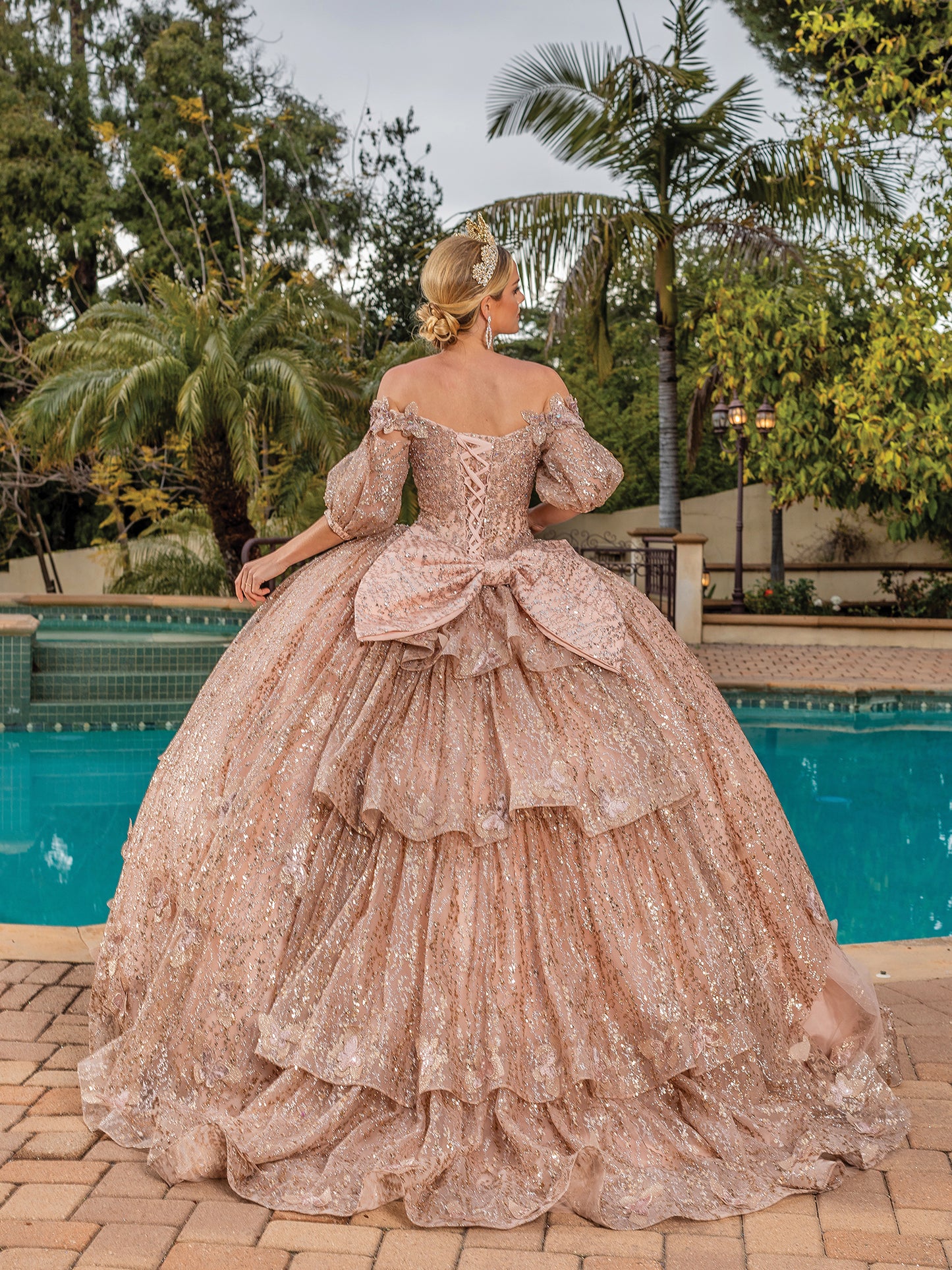 Quinceañera/Sweet 16 Dresses 1877