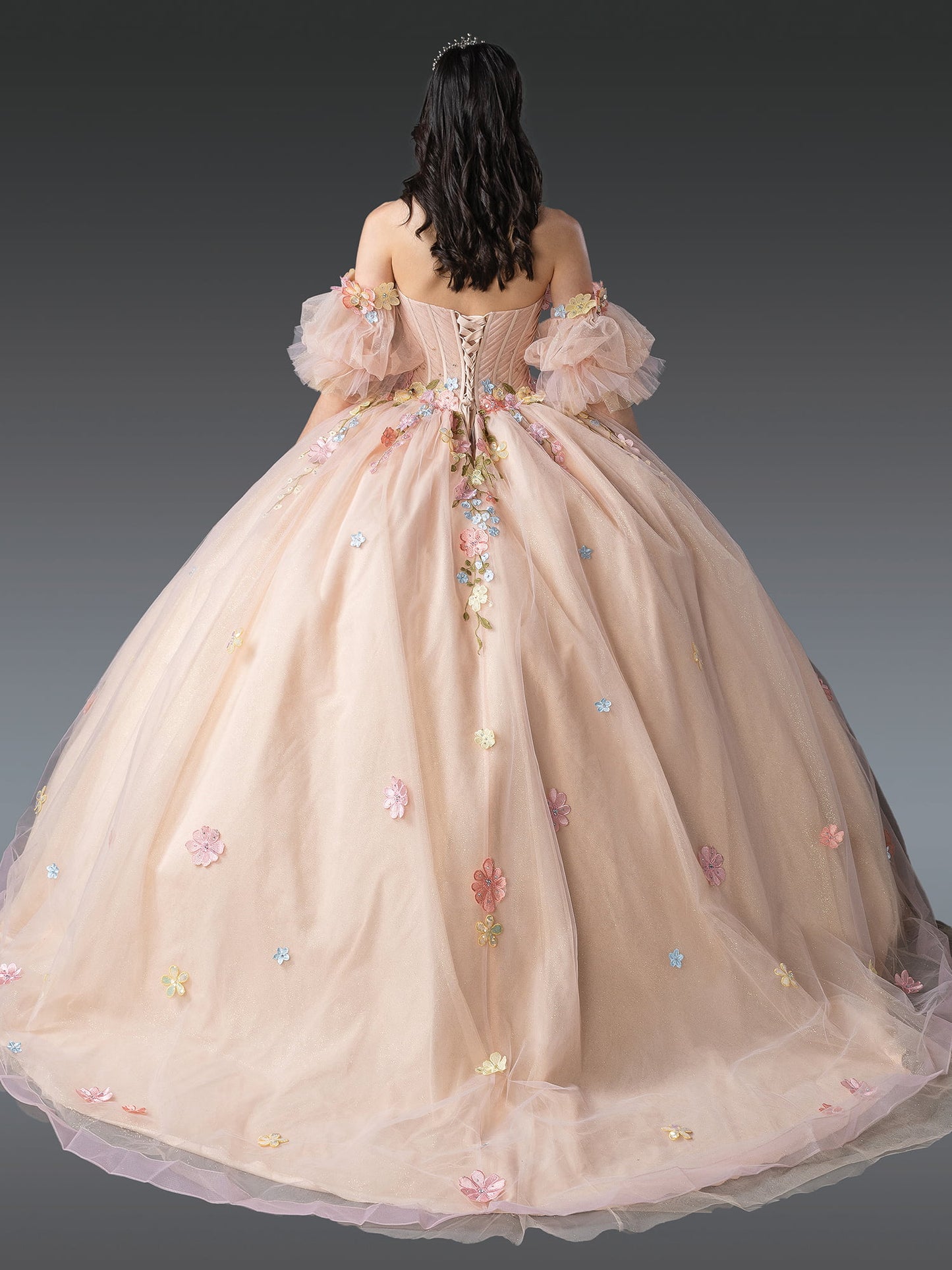 Dancing Queen Quinceanera/sweet 16 Dresses 1946